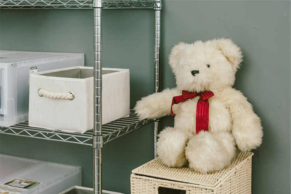 Wire Shelf