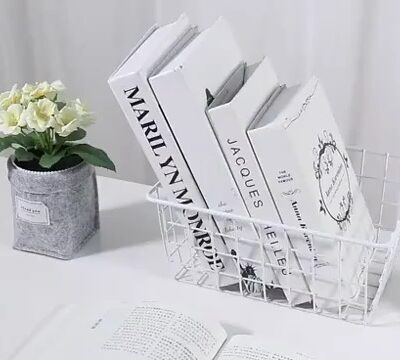 Vinyl Coated Steel Pull Out Chest Freezer Basket