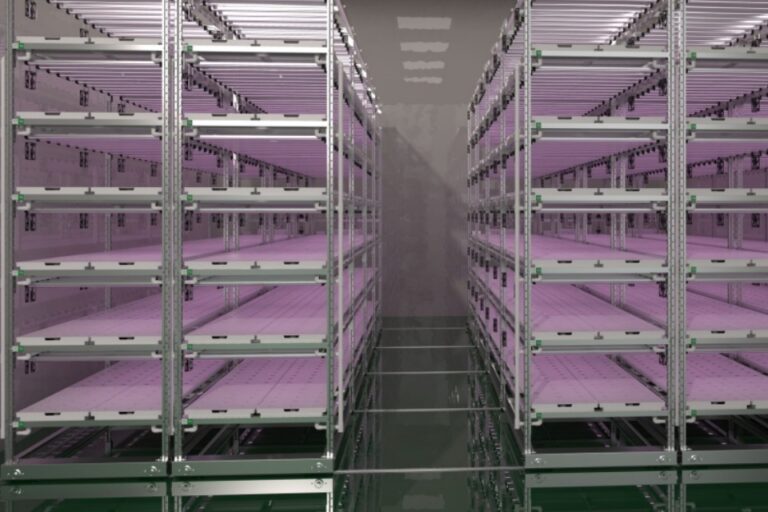Refrigerated Wire Shelving